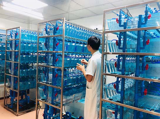 腾博汇游戏官网 - 诚信为本,专业服务!